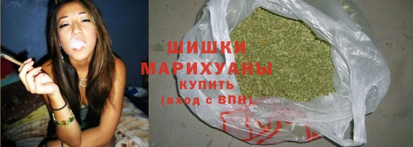 прущая мука Ельня