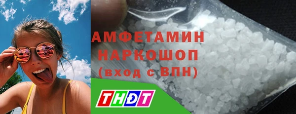 гидра Елизово