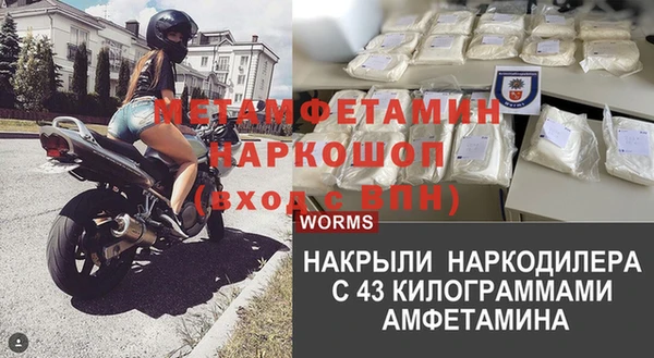 гидра Елизово