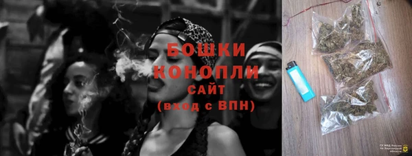 прущая мука Ельня