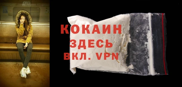 прущая мука Ельня