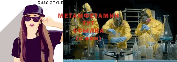 гидра Елизово