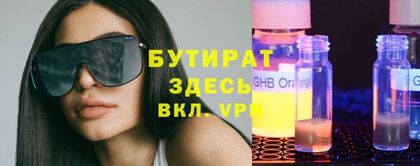 гидра Елизово
