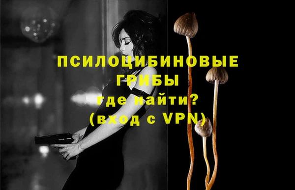 прущая мука Ельня
