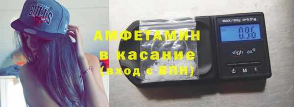 гидра Елизово