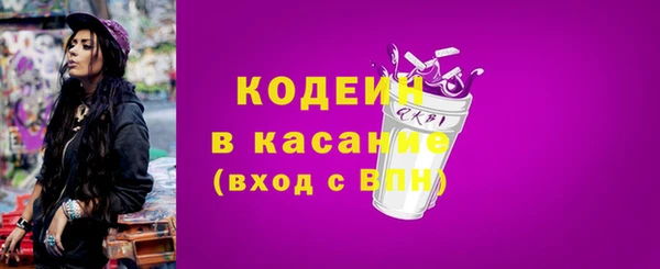 гидра Елизово