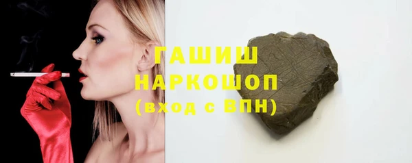 гидра Елизово