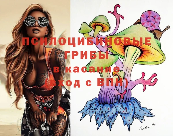 прущая мука Елабуга