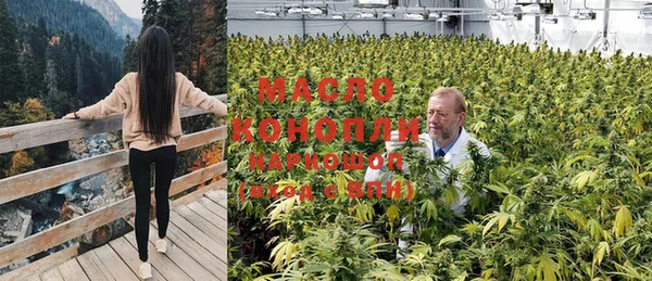 спиды Дмитриев