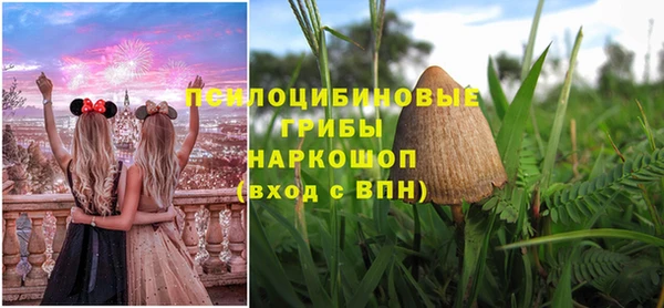 гидра Елизово