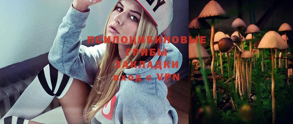 гидра Елизово