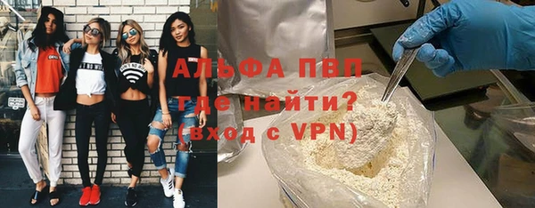 гидра Елизово
