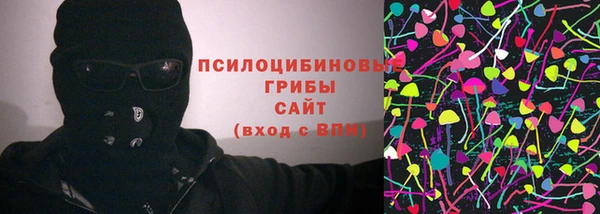 прущая мука Елабуга