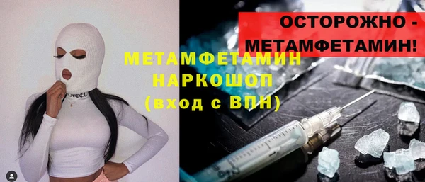 гидра Елизово