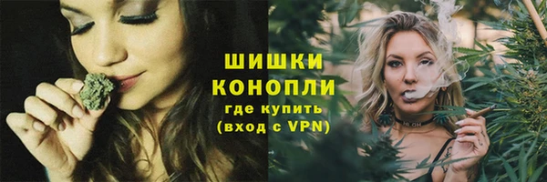 прущая мука Ельня