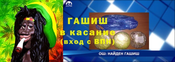 гидра Елизово