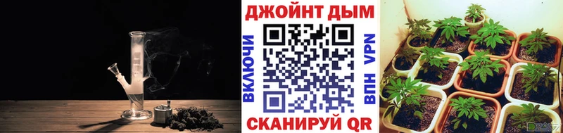 МАРИХУАНА сатива  shop какой сайт  Трубчевск 